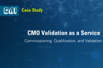 CMO Validation as a Service