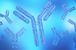 GettyImages-2184219690-antibody-biologic