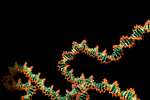 viral-vector-gene-cell-GettyImages-2203499177