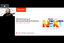 Thermo - mAb scale up