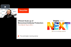 Thermo - mAb scale up Thermo - mAb scale up