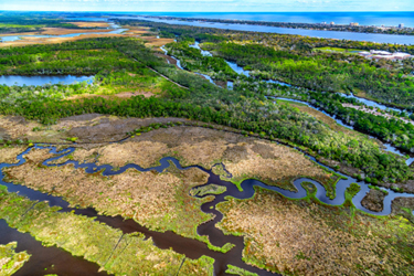 Florida Coastal landscape-GettyImages-1311964427 Florida Coastal landscape-GettyImages-1311964427