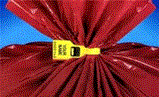STRIP.gif STRIP.gif
