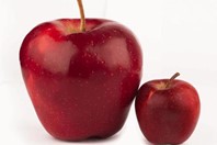 Large Or Small Molecule: Drug Sponsors Share API Outsourcing Philosophy