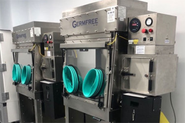 Laminar Flow Glovebox Isolator LFGI