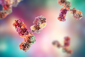 Mammalian And Insect Cell Culture CDMO Services GettyImages-1133973940-immunoglobulin-cell-culture-antibody