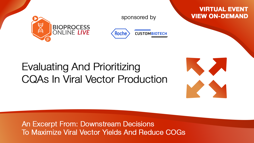 Evaluating And Prioritizing CQAs In Viral Vector Production