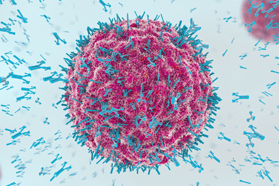 Innovations In Hybridoma-Based Therapeutic Antibody Discovery Against Type 1 Transmembrane Proteins GettyImages-1013103082 antibodies, cell