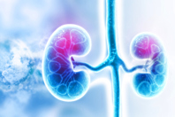 Elevated Risk: Exploring The Links Between Chronic Kidney Disease And Cardiovascular Disease Kidneys