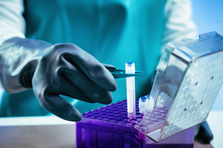 Impact Of DMSO And Freezing Technique In Developing A High Cell Density ...