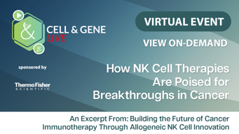 How NK Cell Therapies Are Poised for Breakthroughs in Cancer How NK Cell Therapies Are Poised for Breakthroughs in Cancer