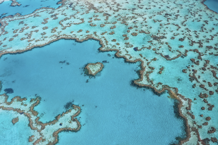 In Positive Trend For Water Quality Great Barrier Reef Sets Record For ...