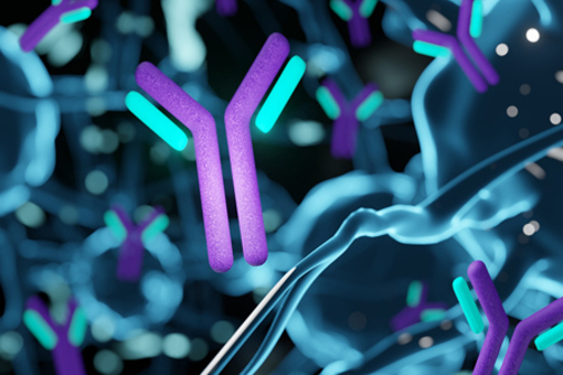 Antibodies GettyImages-1441786721