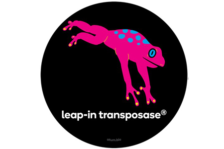 Leap-In Transposase® Mediated Cell Line Development