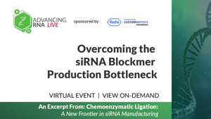 Overcoming the siRNA Blockmer Production Bottleneck