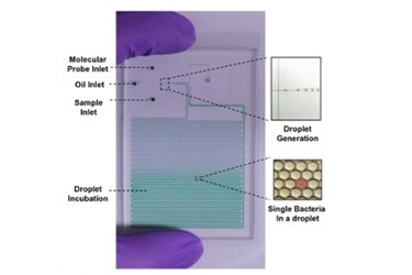 Tiny Lab Devices Could Attack Huge Problem Of Drug-Resistant Infections