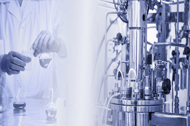 cmo-and-biotech-GettyImages-2156911277 (1)