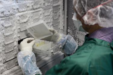 GettyImages-155373764-cryopreservation-cold-chain