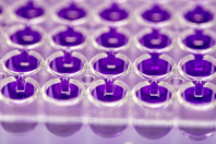 iStock-1273748855-well-plates-samples