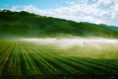 Pioneering Recycling Program Quenches California's Thirst For Agricultural Water