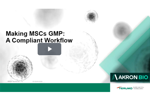Making MSCs GMP: A Compliant Workflow Terumo - CMP