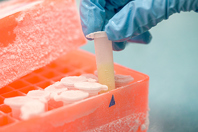 iStock-899483138 lab freeze cold 450x300.jpg