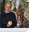 gadgil.gif gadgil.gif