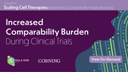 23_02_CGL_SCT2_Webinar_1920x1080_Seg02 23_02_CGL_SCT2_Webinar_1920x1080_Seg02