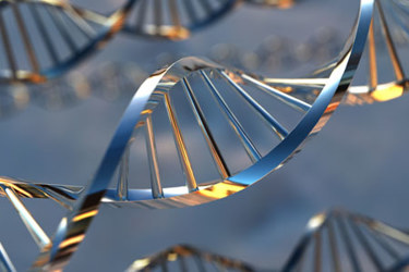 Identifying And Quantifying Oligonucleotides - LCMSMS vs LCHRMS