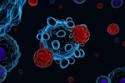 T Cells attacking cancer cells-GettyImages-894635270