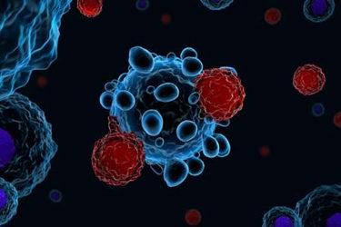 T Cells attacking cancer cells-GettyImages-894635270 T Cells attacking cancer cells-GettyImages-894635270