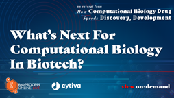 23_12_BPL_AI_Webinar_Seg09