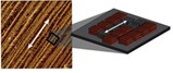p3ht-v2headlines