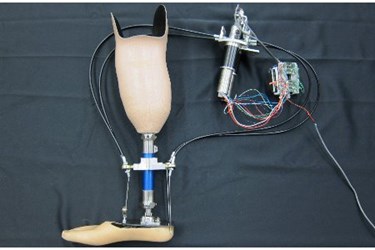 mtu-prosthetic-leg mtu-prosthetic-leg