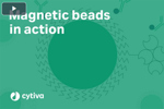 Magnetic beads in action