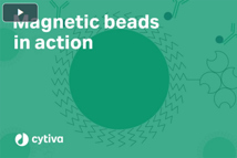 Magnetic beads in action