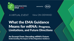 25_05_ARNA_1280x720_Seg04