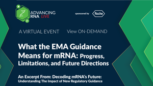 25_05_ARNA_1280x720_Seg04