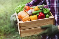 Emerging Approaches To Slash Agricultural Dependence On Water iStock-1162332668