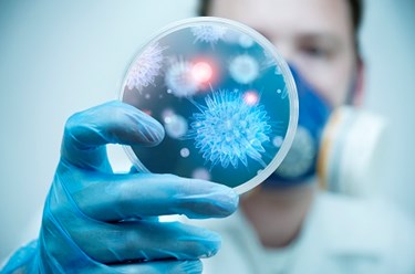 Auspherix, Domainex Join Forces Against Drug-Resistant Infections