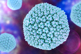 GettyImages-597972428-adenovirus GettyImages-597972428-adenovirus
