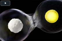 Cell Insights By Umetrics Studio