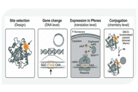Primrose - Next Gen Carrier