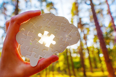 sunlit brain puzzle-GettyImages-2187021354 sunlit brain puzzle-GettyImages-2187021354