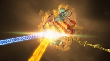 Scientists Watch Bacterial Sensor Respond To Light In Real Time