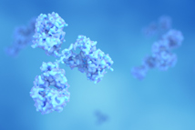 Antibodies And Proteins GettyImages-1364886992