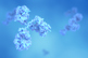Antibodies And Proteins GettyImages-1364886992 Antibodies And Proteins GettyImages-1364886992