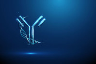 antibodies-GettyImages-2240716957