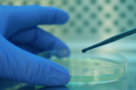 Cell Lab Platform How Platform Technologies Power Up Processes From Lab To cGMP