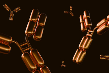 antibody molecules-GettyImages-2165626333